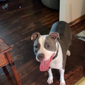 Meet your Posher, Tori